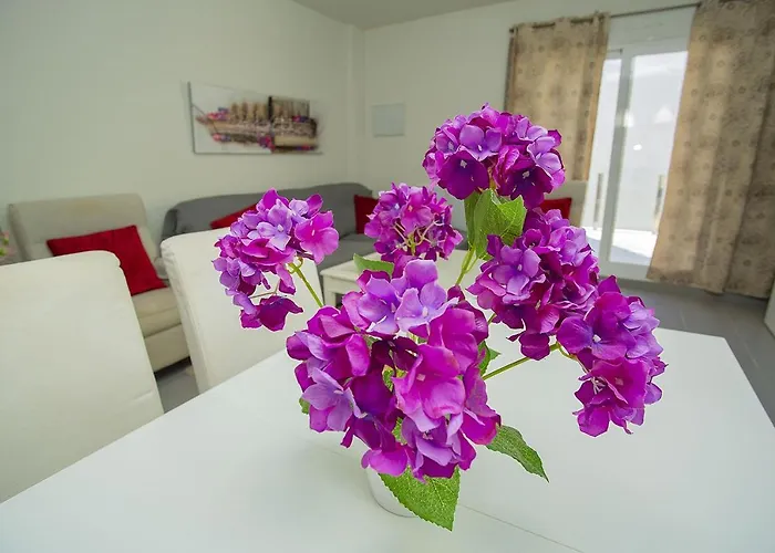 036 Premium - Alicante * Torrevieja