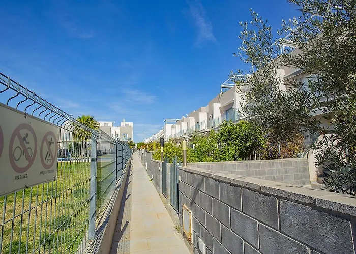 036 Premium - Alicante